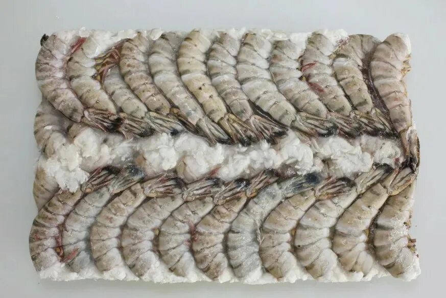 Креветка б/г 26/30  блок1,8 кг Эквадор (Акра) (6 шт./кор)