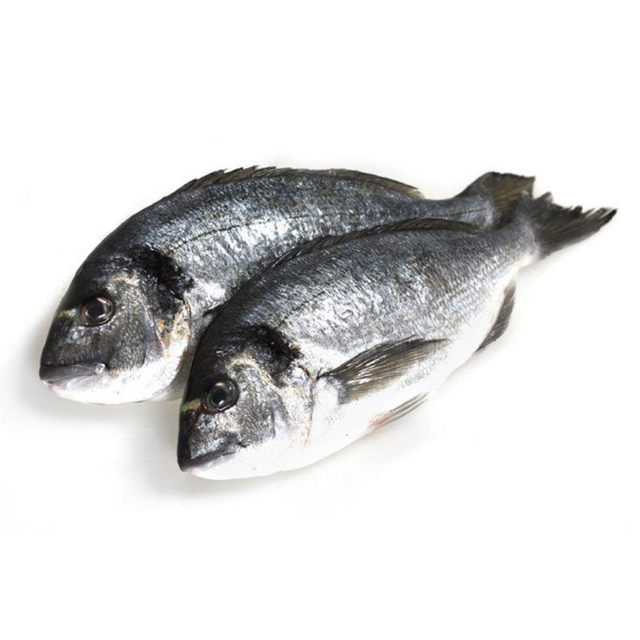 Дорадо с/м н/р 400-600/5 кг.