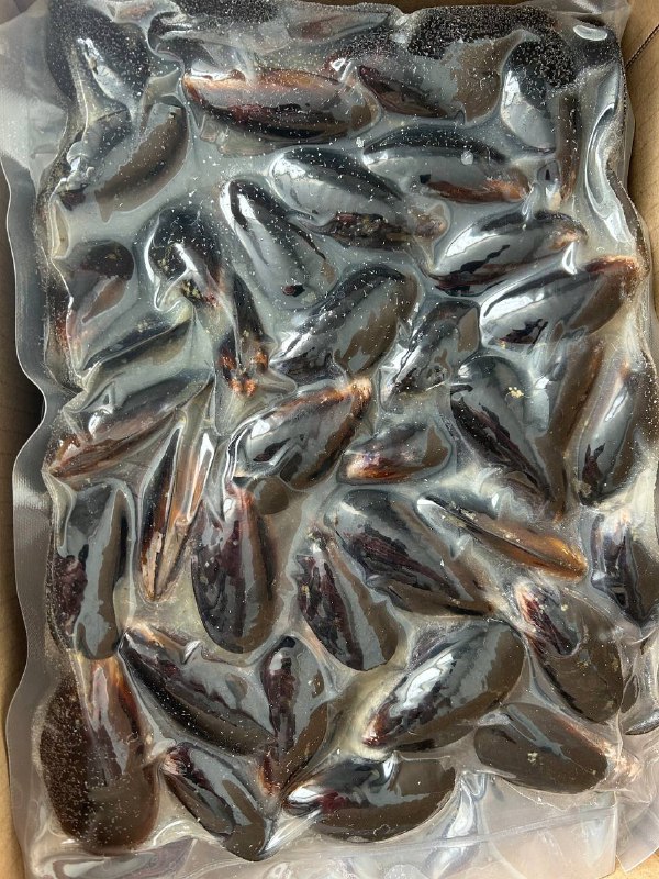 Мидии в/м с/с 50/70 в раковине 1кг (5 кг/кор)