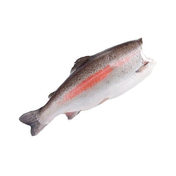 Форель с/м ПБГ (2,7- 3,6) Радужная /вес