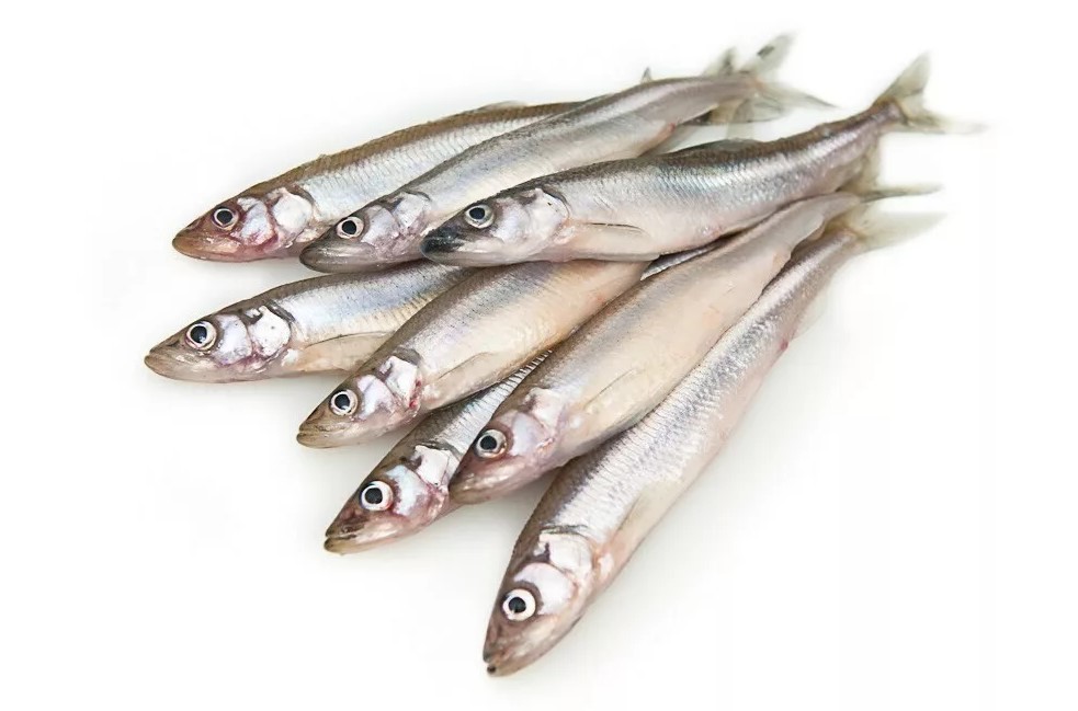 Корюшка 23+ с/м н/р /20 кг.