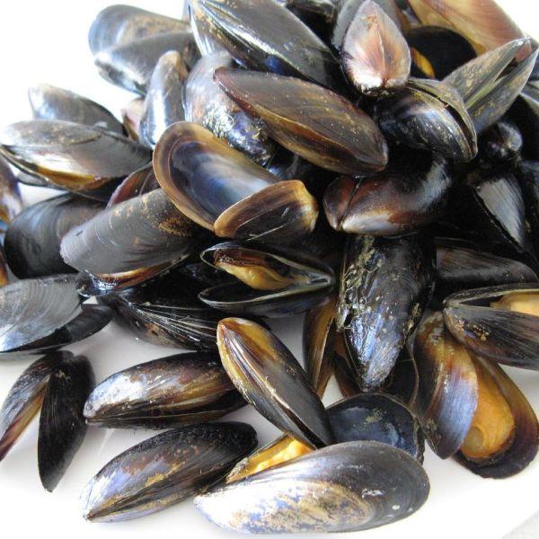 Мидии в/м 40/60 в раковине 1кг (5 кг/кор)