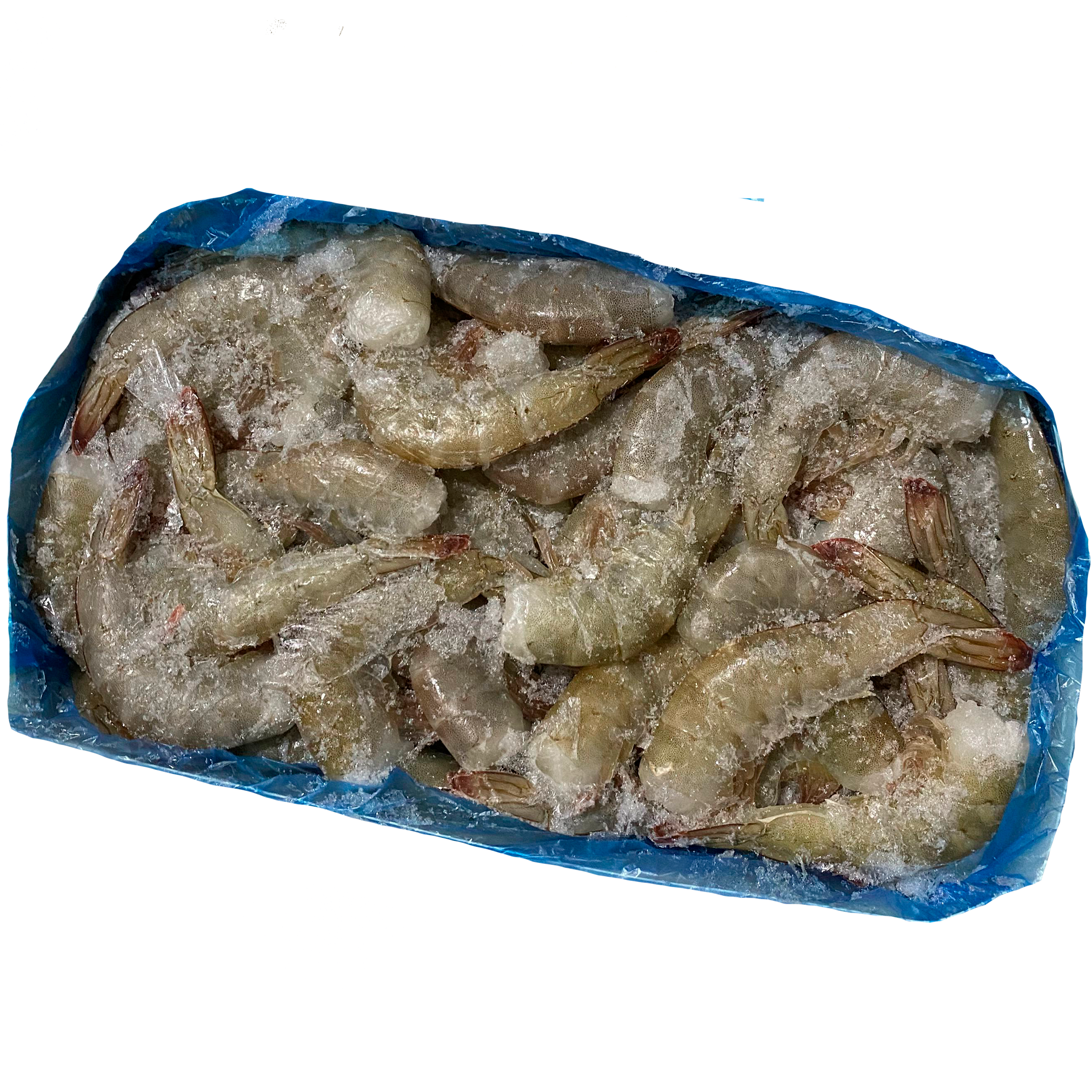 Креветка б/г 21/25 блок 1,8 кг Эквадор/Зеленая( 6шт/кор)